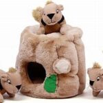 Outward Hound Hide-A-Squirrel Puzzle Toy